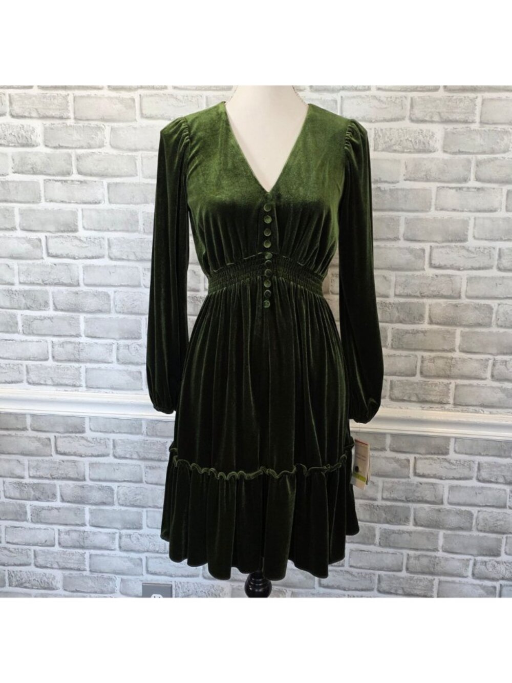 NWT Taylor Green Long Sleeve Luxury Velvet Ruffled Midi Whimsigoth Fairycore - Picture 11 of 11